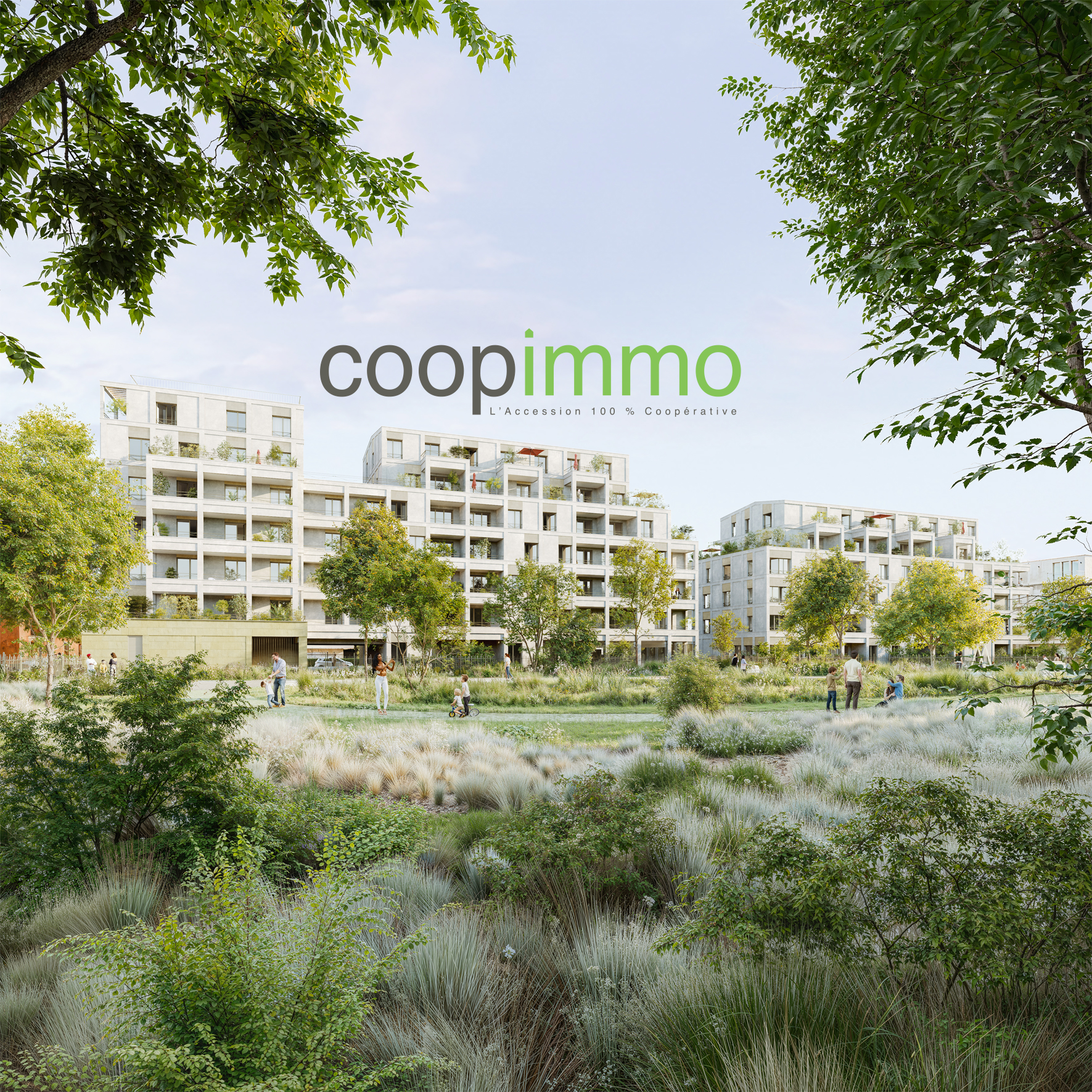 CoopImmo