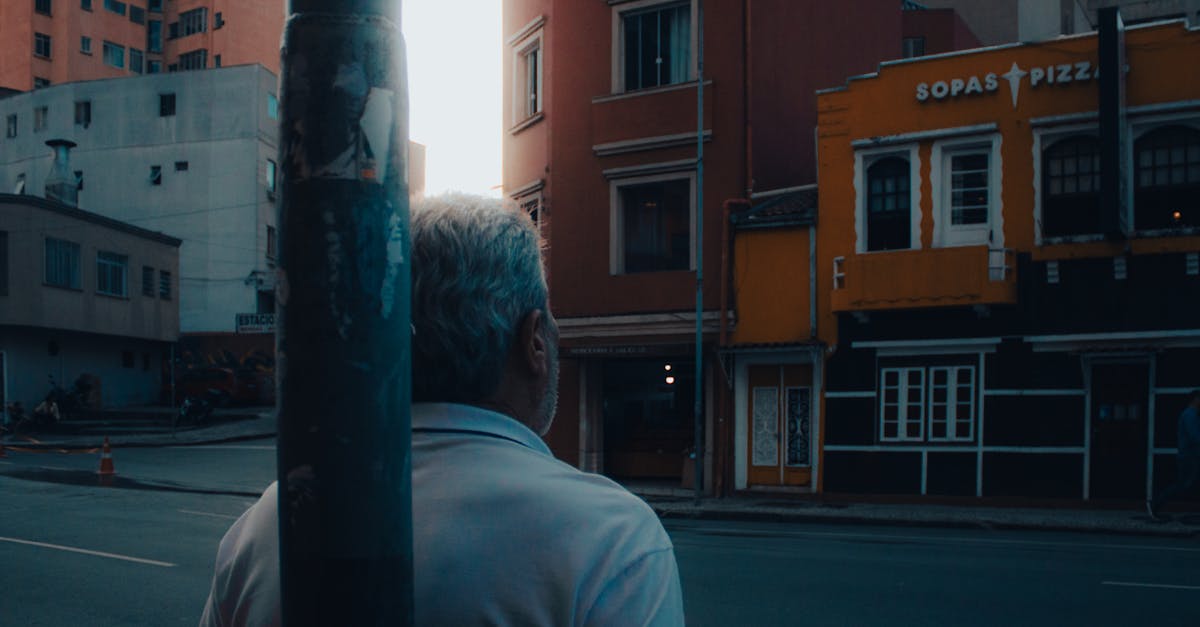 CML - Câmara Municipal de Lisboa