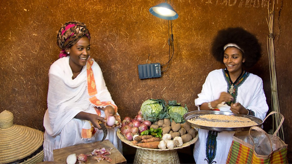 Social Nest Foundation