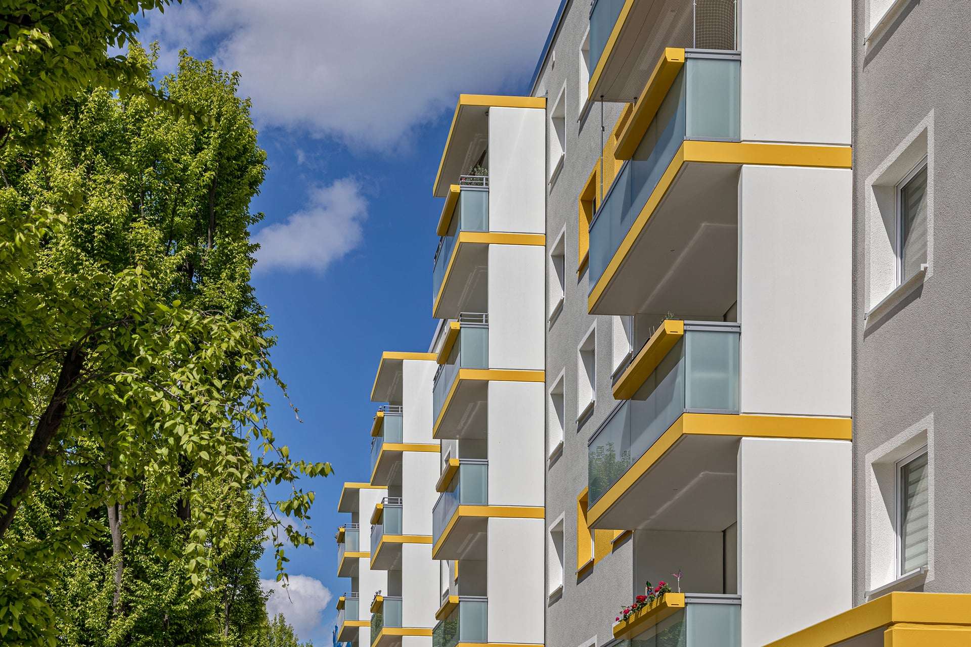 Umbau statt Neubau – EWG Dresden