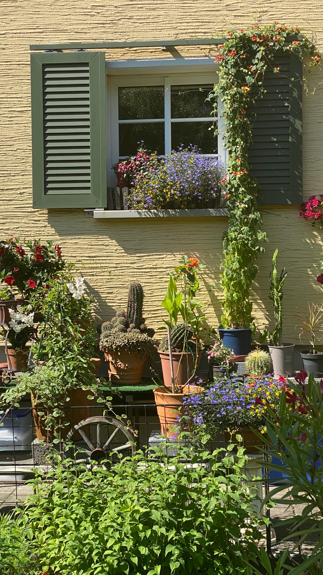 Gartenstadt Nürnberg eG