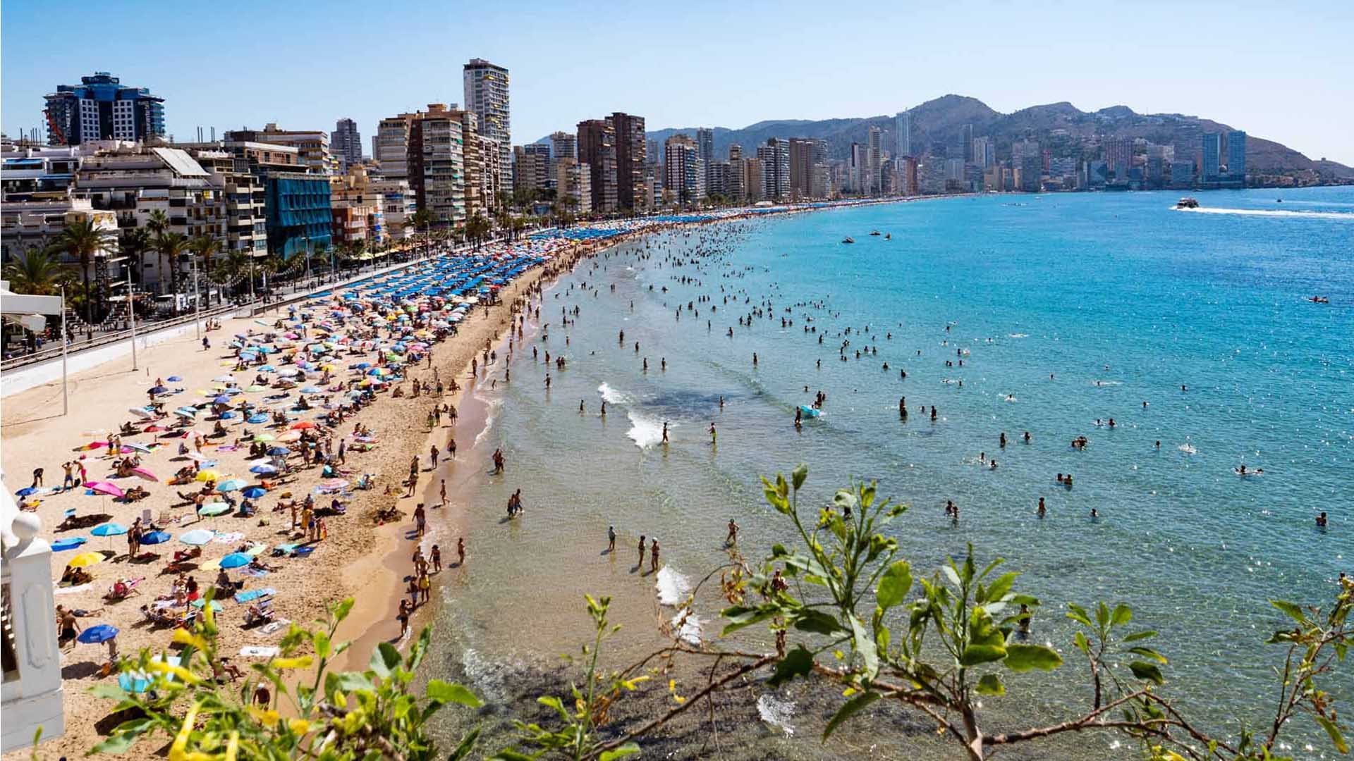 Alicante, dónde vas
