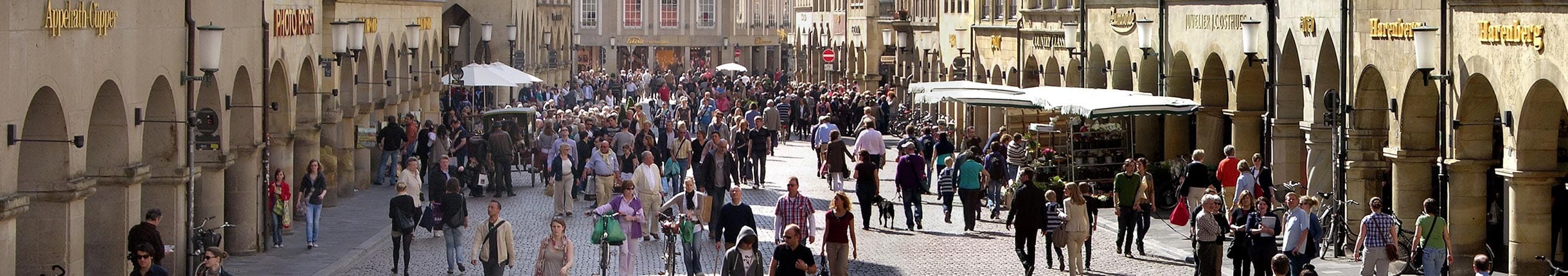 Zensus 2022: Wohnungen in Münster (Statistik-Newsletter der Stadt Münster, August 2024)