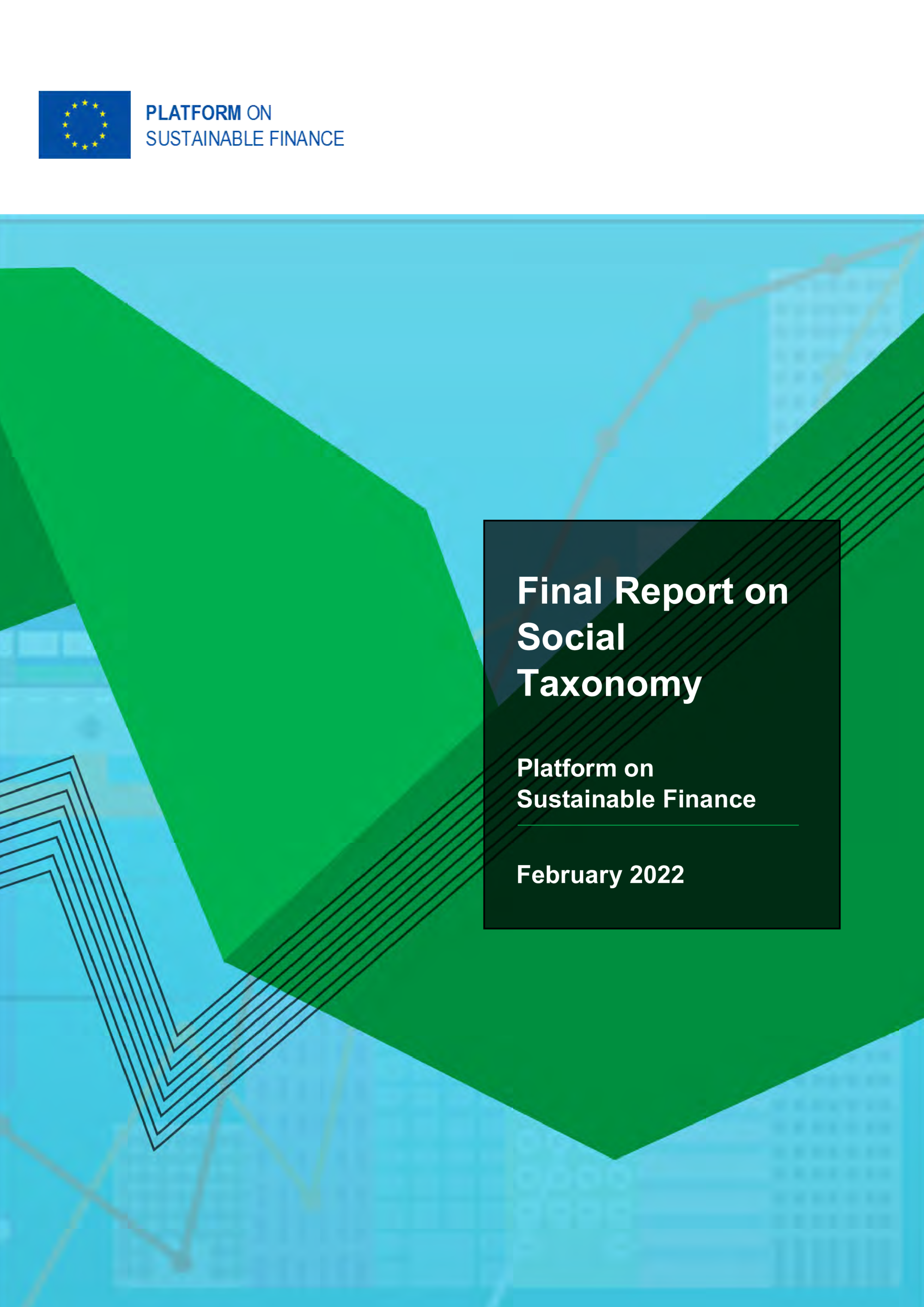 Final report on social taxonomy